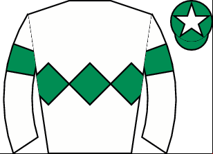 Horse silk