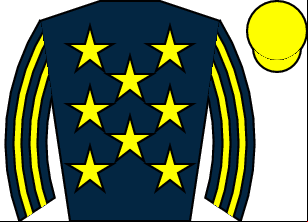 Horse silk