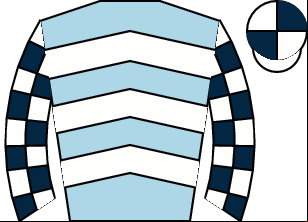 Horse silk