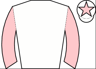Horse silk