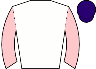 Horse silk