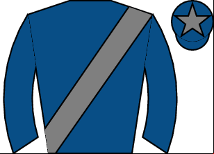 Horse silk
