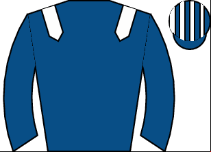 Horse silk