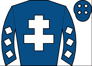 Horse silk