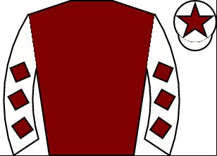 Horse silk