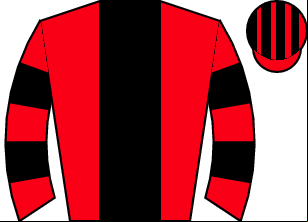 Horse silk