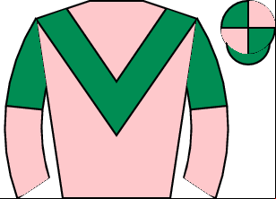 Horse silk
