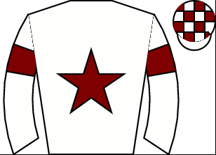 Horse silk