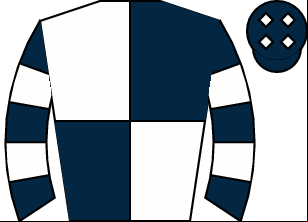 Horse silk