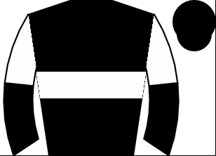 Horse silk