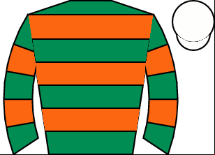 Horse silk