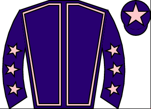 Horse silk