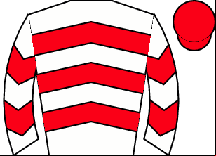 Horse silk