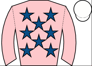 Horse silk