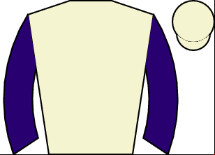 Horse silk