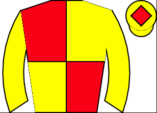 Horse silk