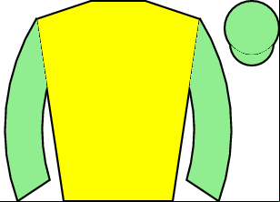Horse silk