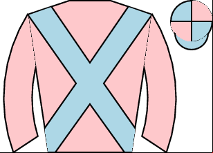 Horse silk