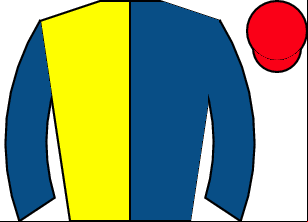 Horse silk