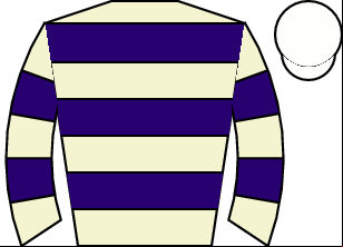 Horse silk