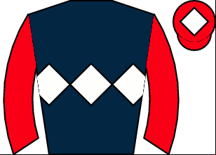 Horse silk