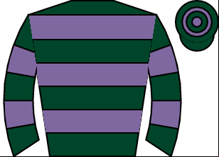 Horse silk