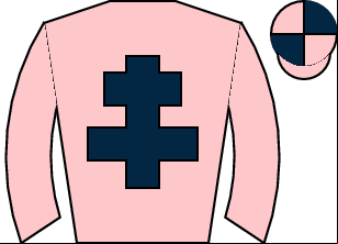 Horse silk