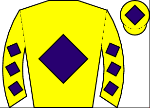 Horse silk