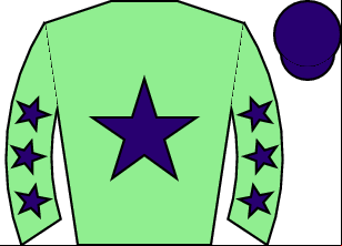 Horse silk