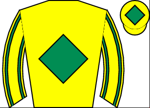 Horse silk