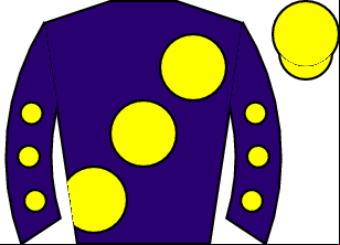 Horse silk
