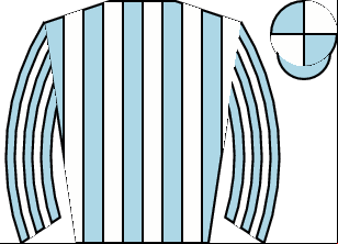 Horse silk