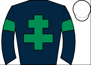 Horse silk