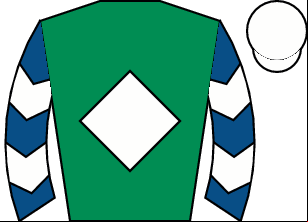Horse silk
