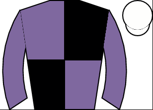 Horse silk