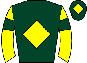 Horse silk