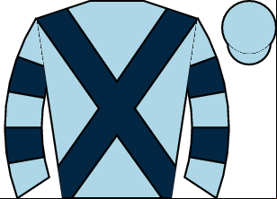 Horse silk