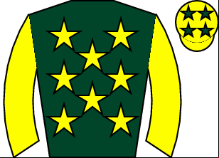 Horse silk