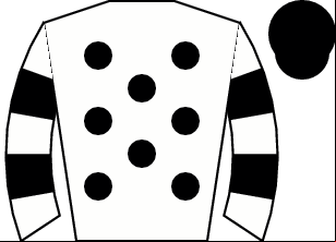 Horse silk