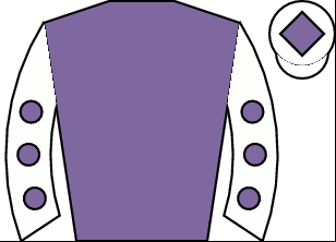 Horse silk