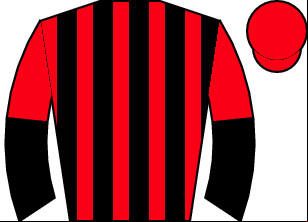 Horse silk