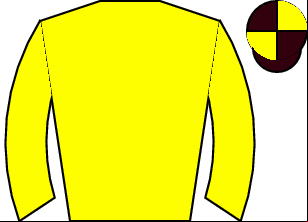 Horse silk