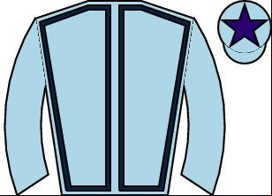 Horse silk