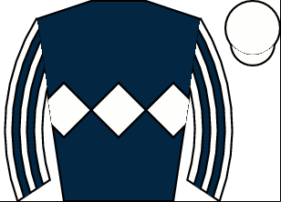 Horse silk