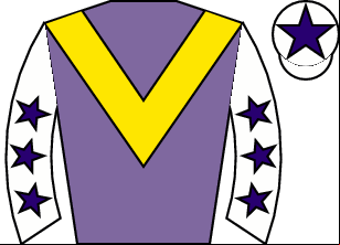 Horse silk