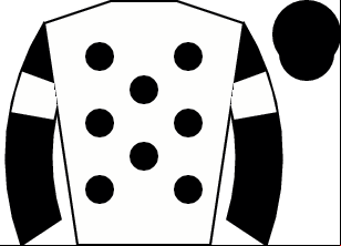 Horse silk