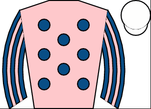 Horse silk