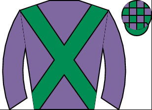 Horse silk