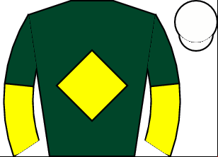 Horse silk