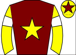 Horse silk